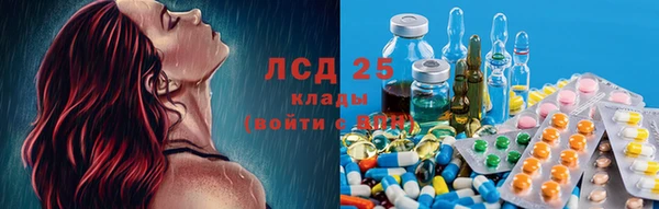 гидра Вязники