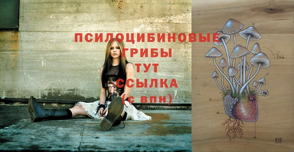 прущие крисы Вяземский