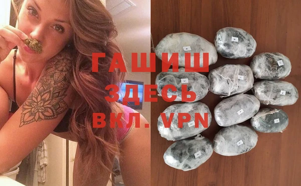 гидра Вязники