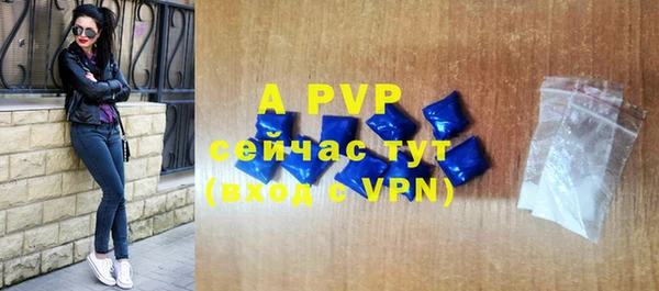 гидра Володарск