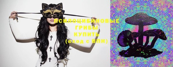 прущие крисы Вяземский